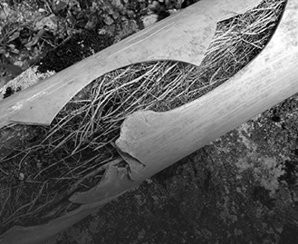 Blocked Drains Glen Iris